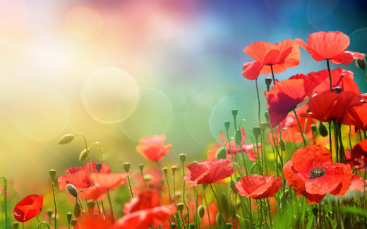 1323626 (a): :2880x1800